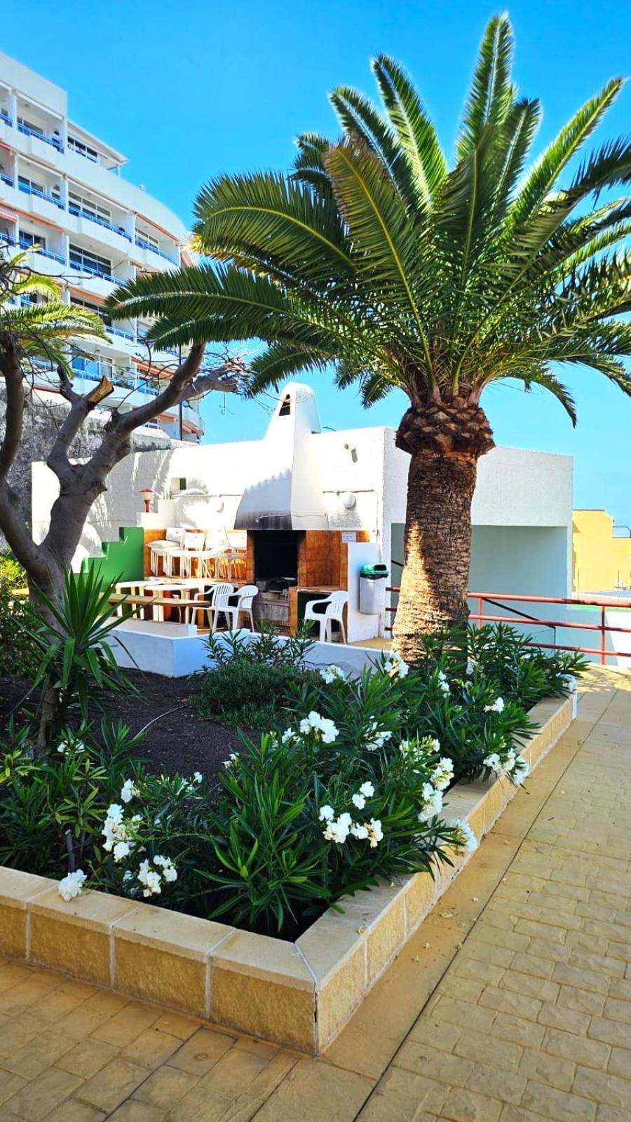 Апартаменты Playa de la Arena Пуерто-де-Сантьяго Екстер'єр фото